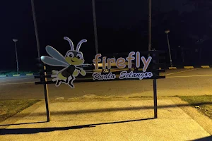 Kuala Selangor Fireflies image