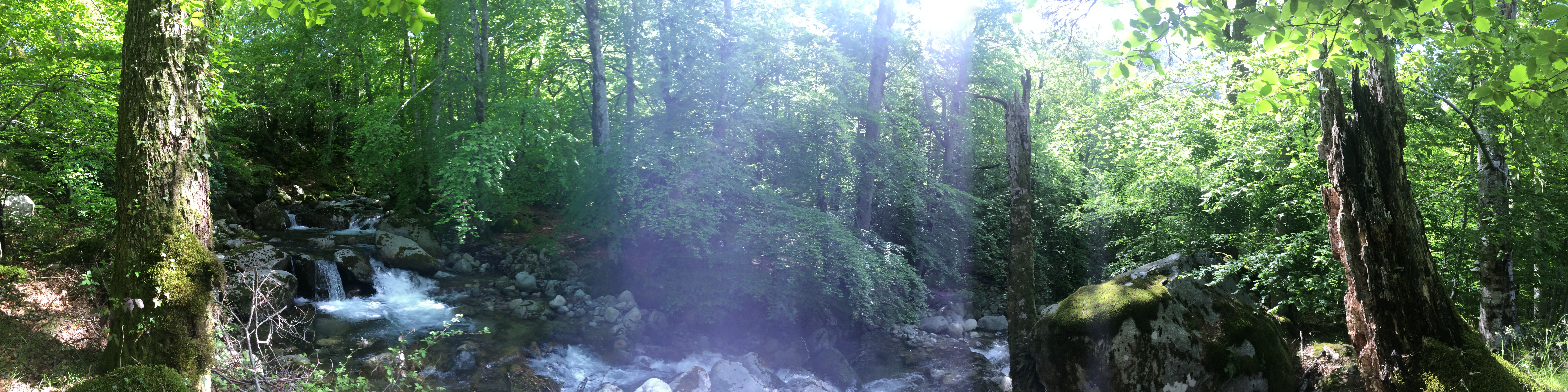 Photo n° 1 de l'avis de Pierre.a fait le 02/06/2019 à 13:25