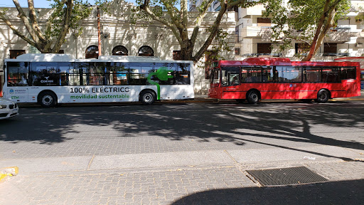 Transporte coche Mendoza