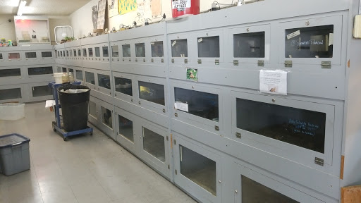 Reptile Store «La Habra Pets», reviews and photos, 1919 W La Habra Blvd, La Habra, CA 90631, USA