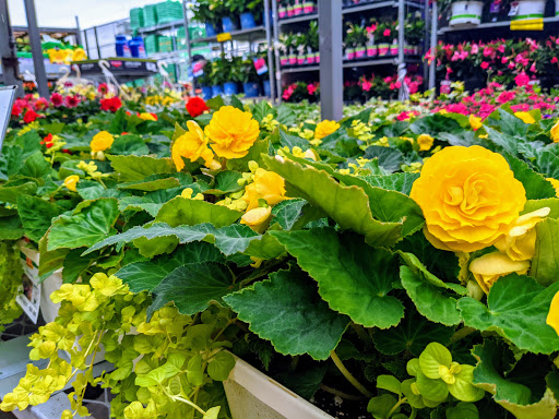 Home Improvement Store «The Home Depot», reviews and photos, 13500 Middlebelt, Livonia, MI 48150, USA