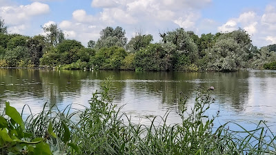 Réserve naturelle nationale des étangs du Romelaëre à Clairmarais