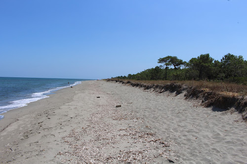 Plage Pinia photo #2