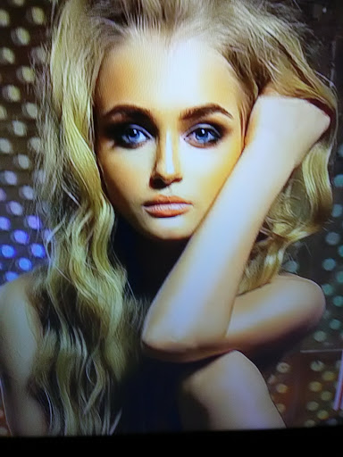 Pet Supply Store «Doggy Style Pet Shop», reviews and photos, 2023 W Division St, Chicago, IL 60622, USA