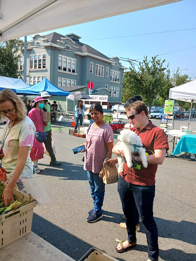 Non-Profit Organization «University Heights Center», reviews and photos, 5031 University Way NE, Seattle, WA 98105, USA