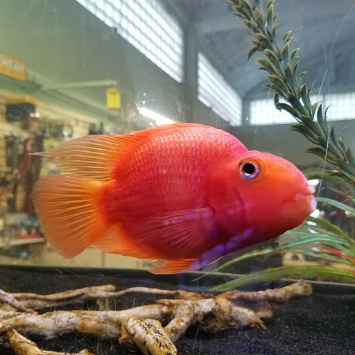 Pet Store «All About Pets LLC», reviews and photos, 52567 Columbia River Hwy, Scappoose, OR 97056, USA