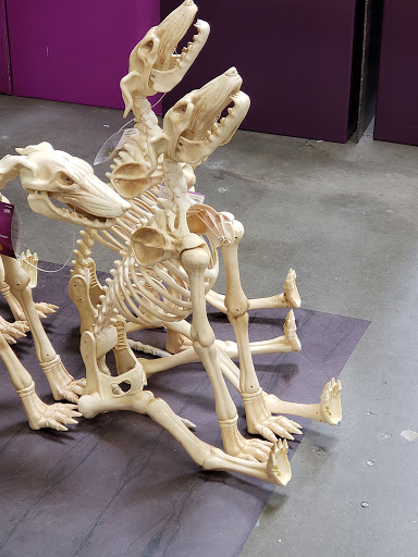 Home Improvement Store «The Home Depot», reviews and photos, 2750 Crow Canyon Rd, San Ramon, CA 94583, USA