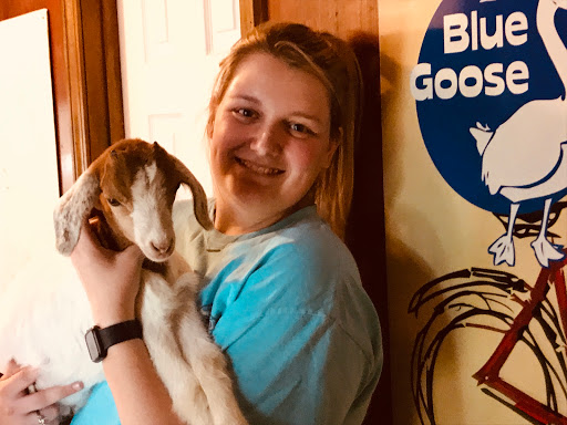 Hostel «Blue Goose Bike Hostel», reviews and photos, 128 E Main St, Irwinton, GA 31042, USA