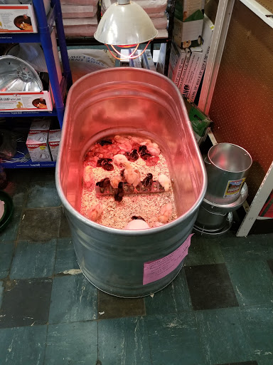 Animal Feed Store «Farm City Inc», reviews and photos, 440 S Park Ave, Apopka, FL 32703, USA