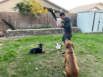 Instinct Canine Holistic Behavioral Training - Photo 7 - Car repair in Peoria, AZ, Surprise