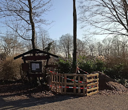 Vereinsheim KGV Schneeberg Höningen photo