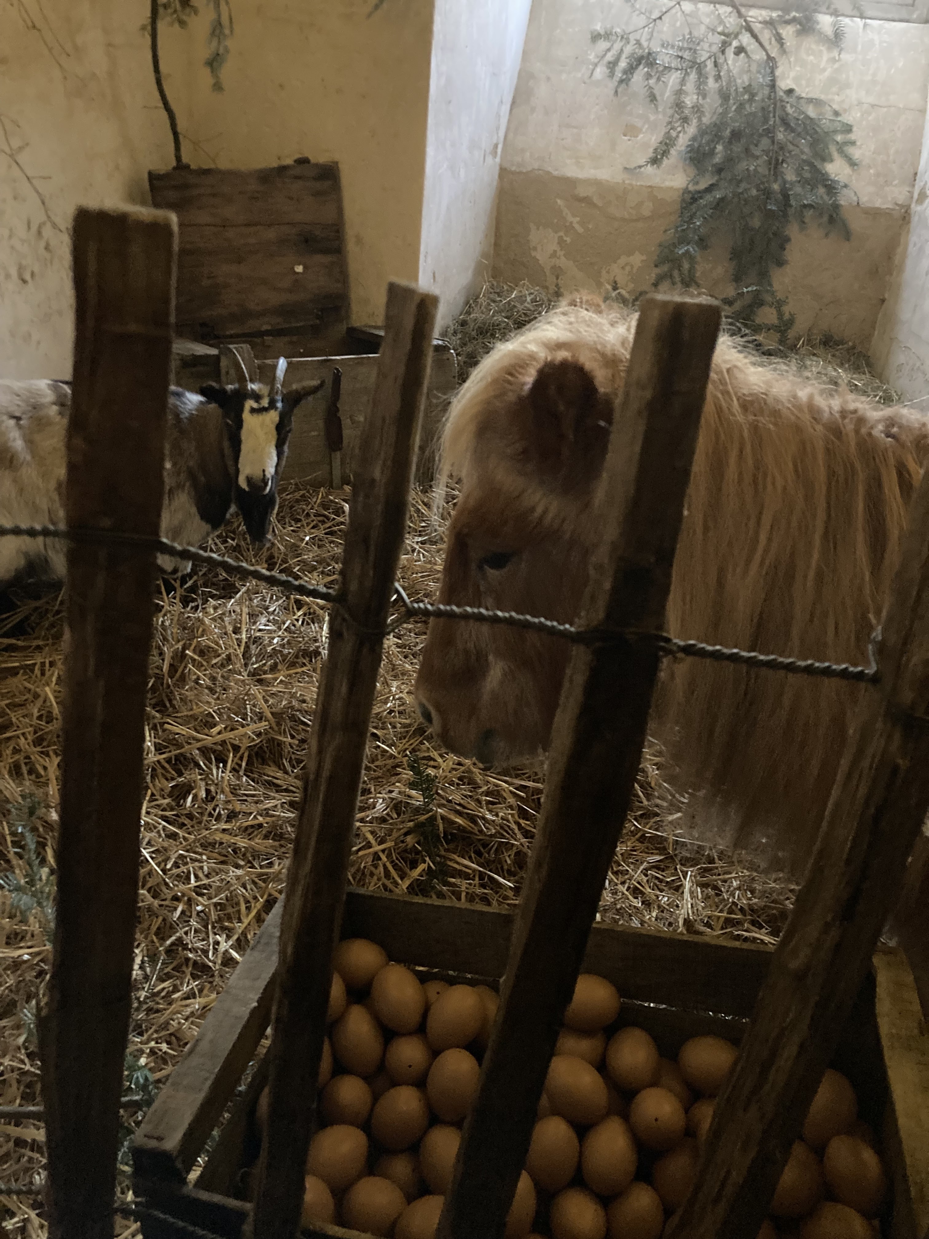 Photo n° 5 de l'avis de Philippe.E fait le 06/01/2024 à 07:40