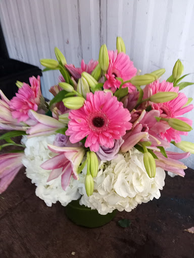 Florist «The Flower Place», reviews and photos, 860 NE 79th St, Miami, FL 33138, USA