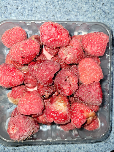 Supermarket «ALDI», reviews and photos, 13920 Lee Jackson Memorial Hwy, Chantilly, VA 20151, USA