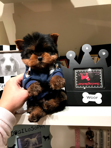 Pet Supply Store «Woof Woof Puppies & Boutique», reviews and photos, 29555 Northwestern Hwy, Southfield, MI 48034, USA