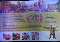 China Restaurant Phönix à Neckartenzlingen menu