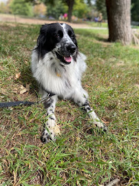 Walk N' Roll - Photo 9 - Car repair in Brooklyn, NY, New York