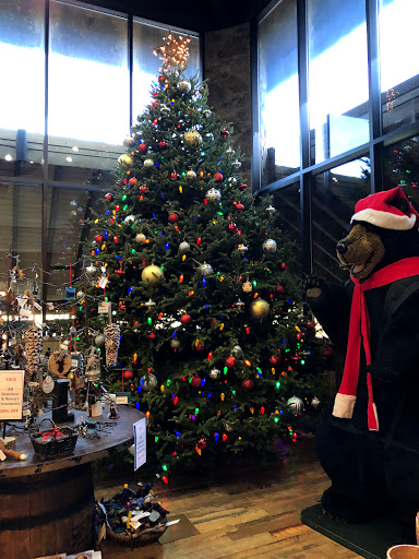 Outdoor Sports Store «Nantahala Outdoor Center Gatlinburg», reviews and photos, 1138 Parkway, Gatlinburg, TN 37738, USA