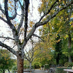 Photo n°4 de l'avis de Svetlana.o fait le 27/10/2023 à 12:54 sur le  Schloßschenke Lichtenstein Fam. Jochen Etter à Lichtenstein