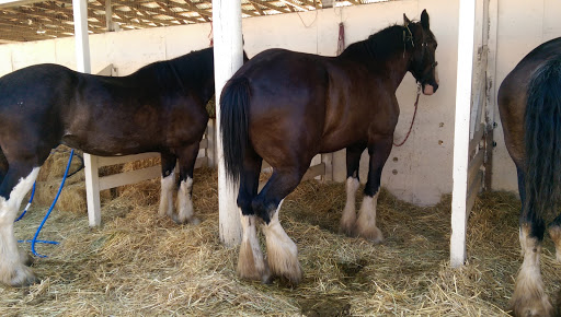 Convention Center «Washington County Fair Complex», reviews and photos, 873 NE 34th Ave, Hillsboro, OR 97124, USA