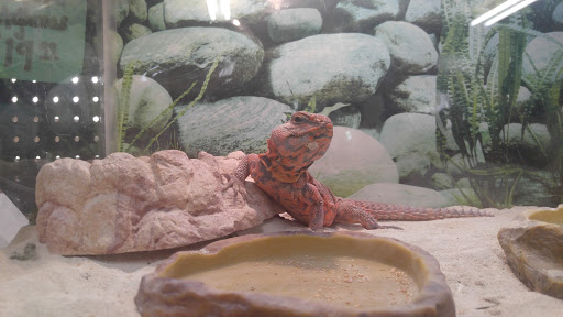 Pet Store «Fin & Feather of Ashland», reviews and photos, 307 S Center St, Ashland, VA 23005, USA