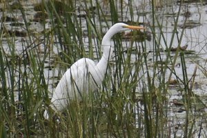 Ken Reid Conservation Area