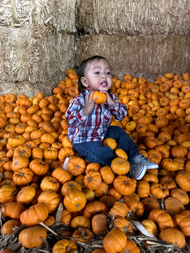 Buick Dealer «AutoNation Buick GMC Henderson», reviews and photos, 330 Old Gibson Rd, Henderson, NV 89014, USA