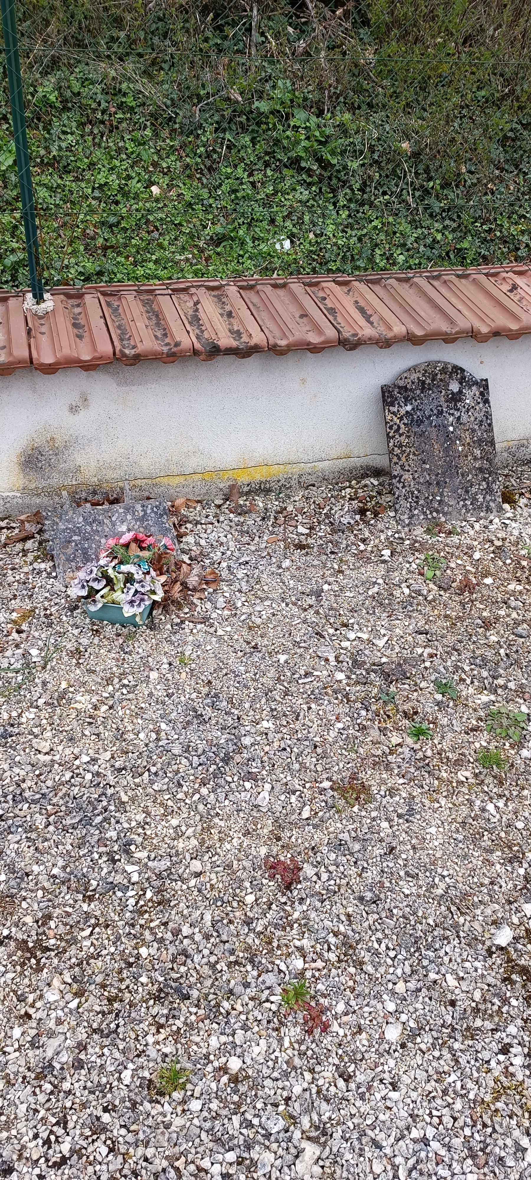 Photo n° 7 de l'avis de Cedric.o fait le 07/04/2023 à 12:52