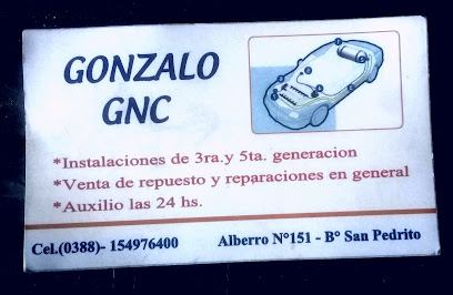 Gnc Y Mecanica ' GONZALO'