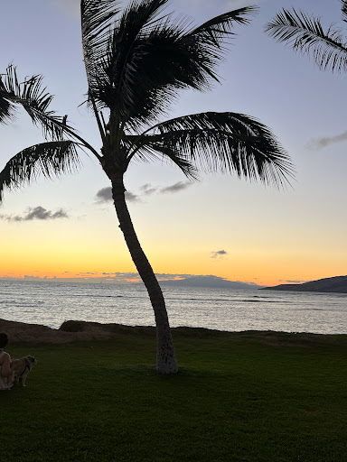 Explore ghostface tattoo ideas, creative tattoo ideas in South Padre Island, available at Peggys Temporary & Permanent Tattoos