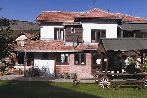 Vila igić image