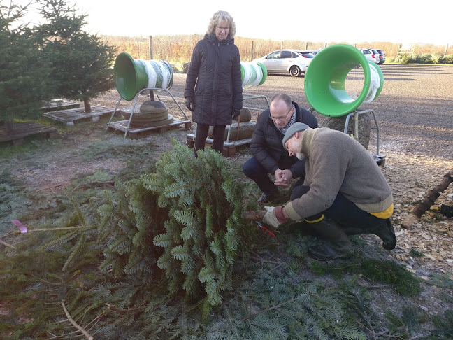 juletraeerikolding.dk