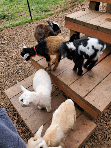 Portland Goat Parties