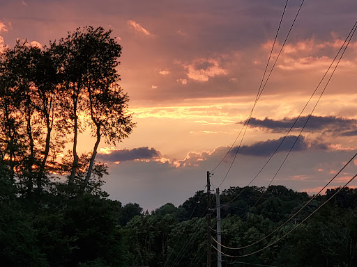 Department Store «Walmart Supercenter», reviews and photos, 1550 Nashville Rd, Franklin, KY 42134, USA
