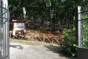 Parco Avventura Albano di Lucania image