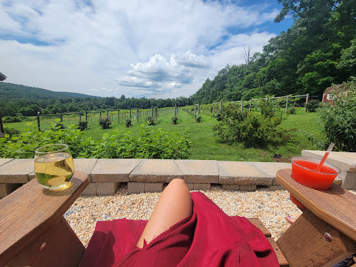 Winery «Red Heifer Winery», reviews and photos, 12840 Red Heifer Winery Lane, Smithsburg, MD 21783, USA