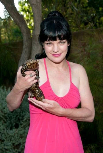 Canoe & Kayak Store «Cannon Falls Canoe and Bike Rental», reviews and photos, 615 N 5th St, Cannon Falls, MN 55009, USA