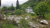 Fleur des Alpes La Brigue