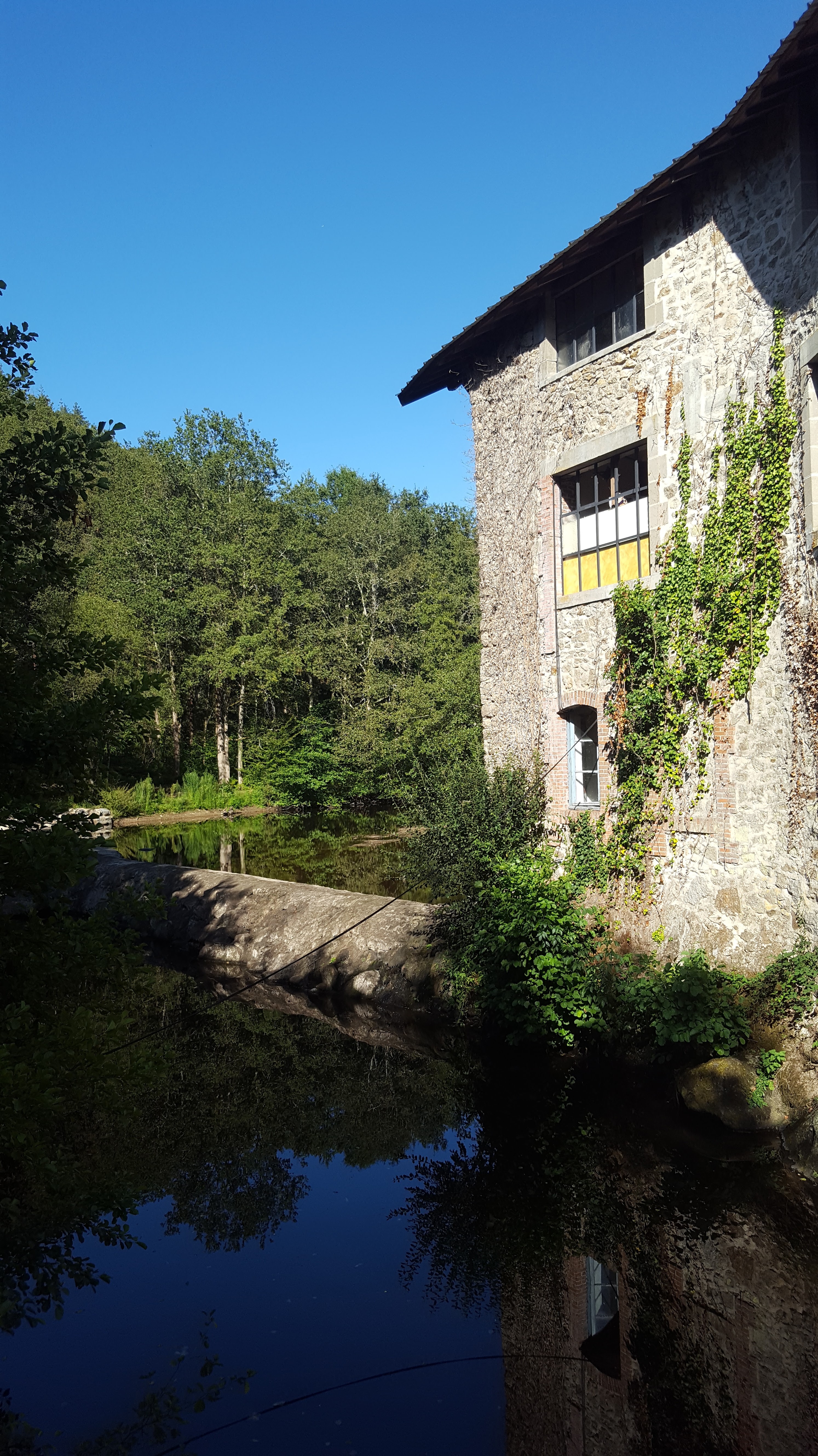 Photo n° 2 de l'avis de Chris.e fait le 31/08/2019 à 17:44