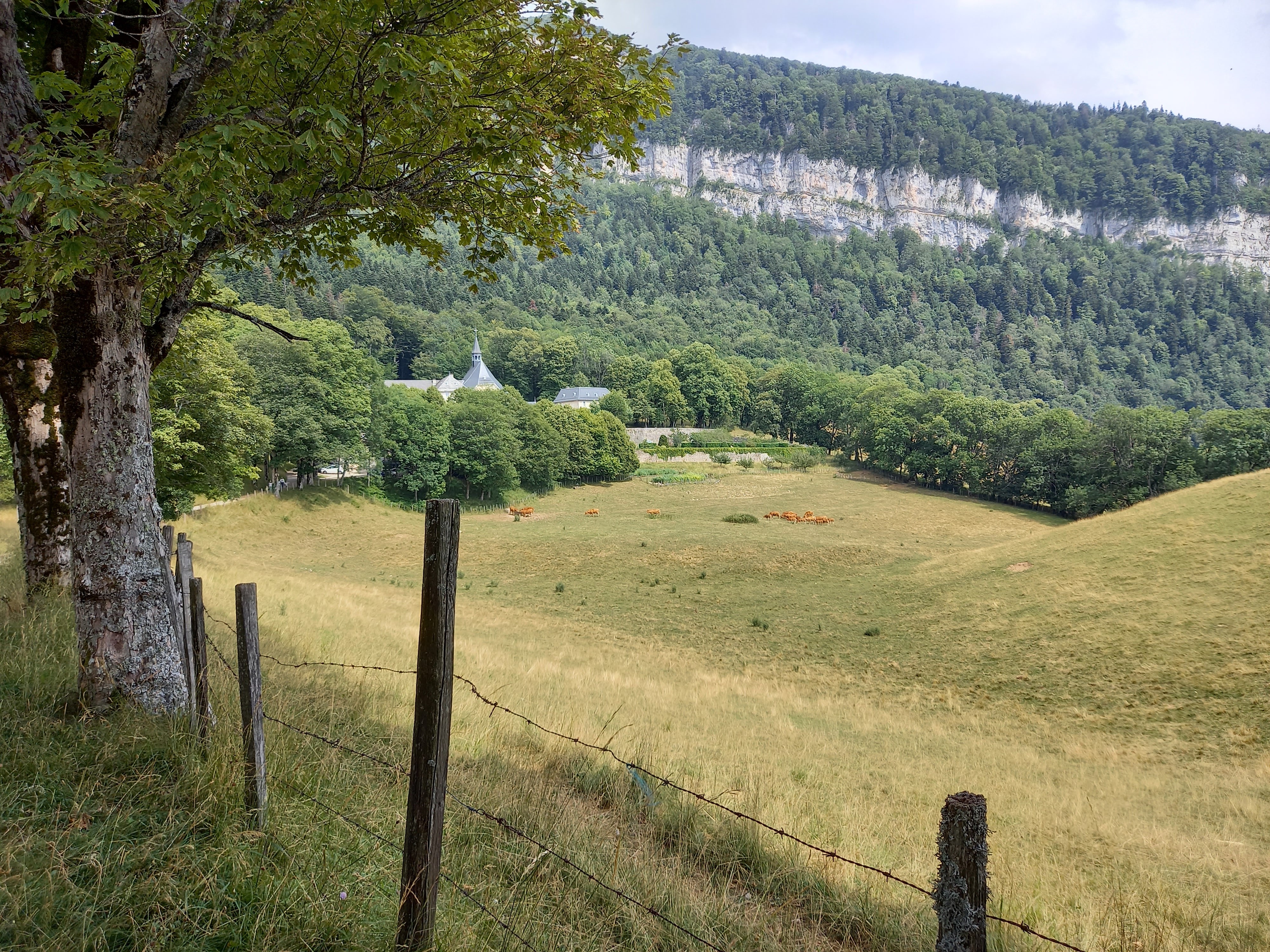 Photo n° 7 de l'avis de PESQUET.o fait le 22/07/2023 à 16:55
