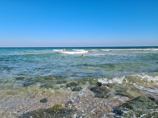 North Beach Sile