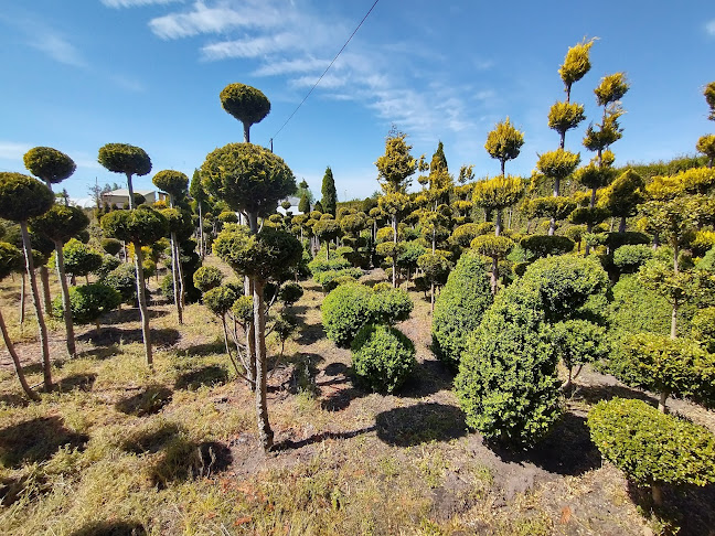 Różana 142, 84-230 Rumia