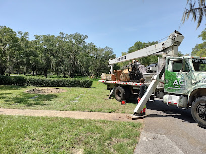 Veteran Tree Service