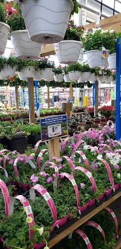 Home Improvement Store «Menards», reviews and photos, 6405 Jackson Rd, Ann Arbor, MI 48103, USA