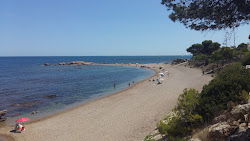 Photo de Platja Cap Roig avec un niveau de propreté de très propre