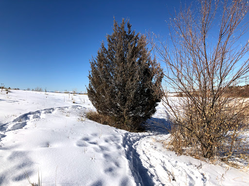 Wildlife Park «Willow Spring Open Space», reviews and photos, 7100 S Holly St, Centennial, CO 80112, USA