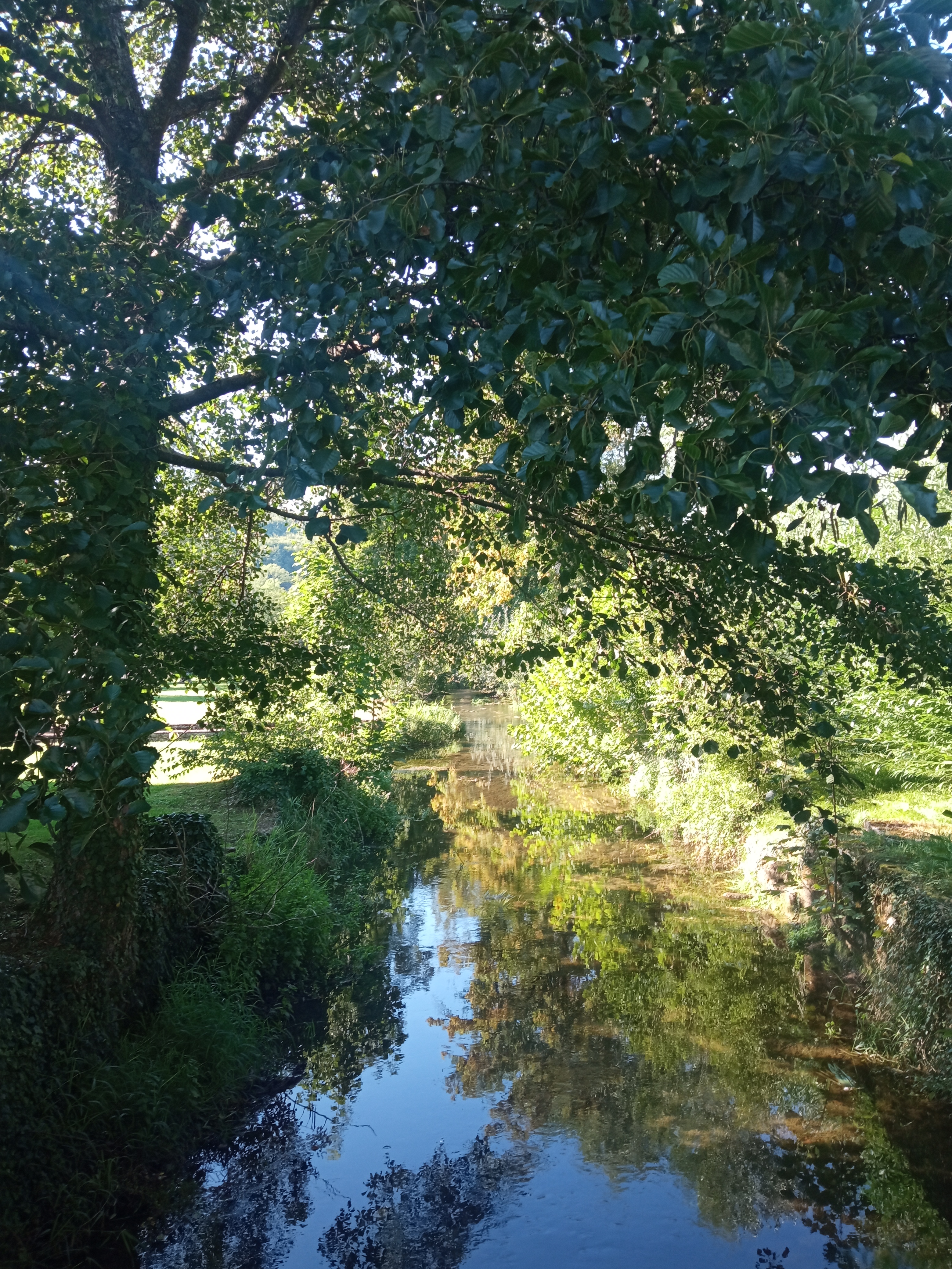 Photo n° 6 de l'avis de Cassandre.e fait le 06/09/2023 à 21:26