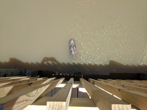 Zoo «Gators and Friends», reviews and photos, 11441 US-80, Greenwood, LA 71033, USA