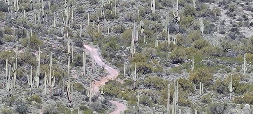 Horseback Riding Service «Spur Cross Stables», reviews and photos, 44029 N Spur Cross Rd, Cave Creek, AZ 85331, USA