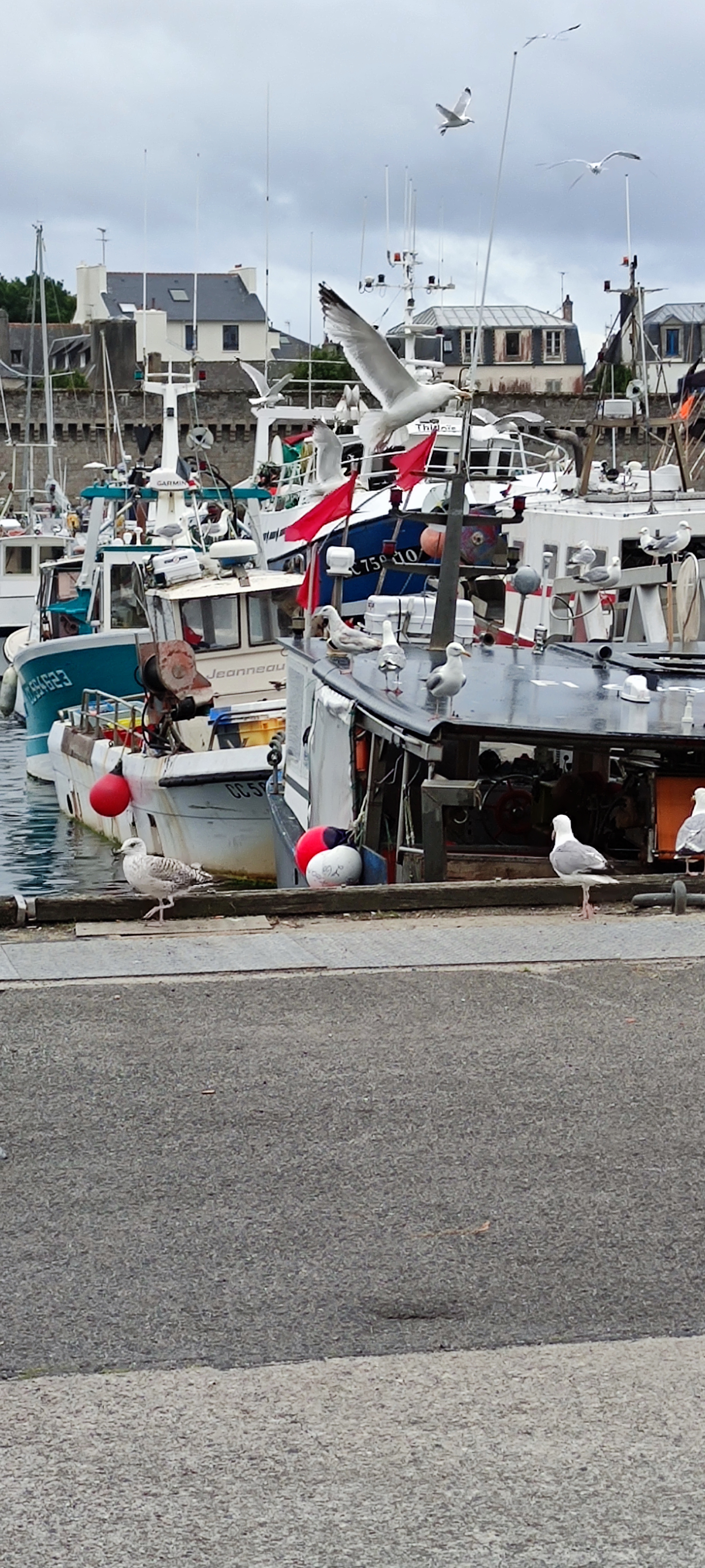 Photo n° 1 de l'avis de Dominique.a fait le 24/06/2022 à 14:24